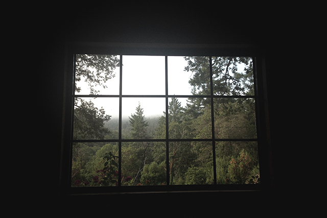 The view from the anonymous couple’s cabin.